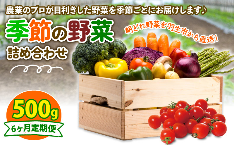 
定期便 季節 野菜 詰め合わせ 500g 6ヶ月 連続お届け 果物 産地直送 朝どれ フルーツトマト ほうれんそう 白菜 キャベツ ブロッコリー そら豆 ヤングコーン とうもろこし 枝豆 ピーマン 唐辛子 パプリカ 水 ナス オクラ キュウリ カリフローレ とれたて 濃厚 ごほうびとまと 株式会社風の子ファーム 埼玉県 羽生市
