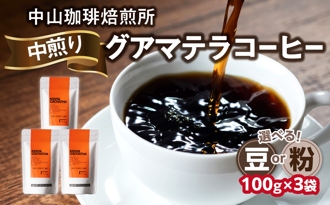 
自家焙煎コーヒー 中煎り グアテマラ【豆/粉】100g×3袋（合計300g）中山珈琲焙煎所 コーヒー豆 コーヒー 自家焙煎 珈琲 グアテマラ コーヒー ロースト 中煎り 京都府 木津川市【056-14】
