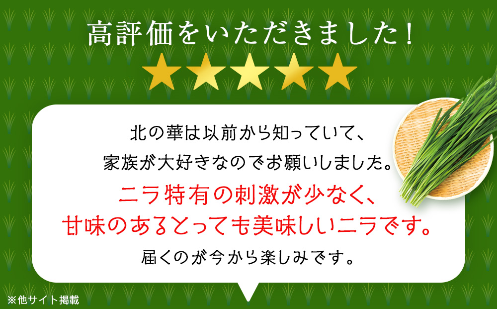 【2025年発送予約】知内産 1番ニラ「北の華」10束【JA新はこだて】