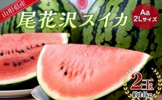 【先行予約 2025年度発送】山形県産 尾花沢スイカ A品 2L 2玉 約14kg FSY-0748