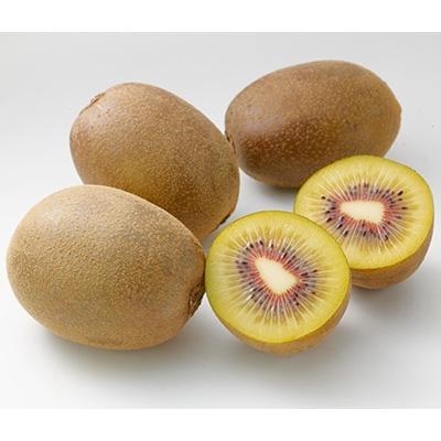 ふるさと納税 観音寺市 香川県オリジナルキウイ「さぬきエンジェルスイート」約2.4kg |  | 01
