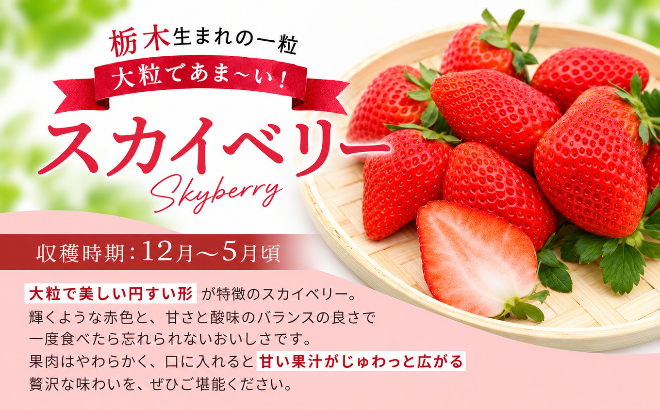 頬張る幸せ★大粒 「スカイベリー」 560g (280g×2P)| 澳原いちご農園 栃木県 矢板市 スカイベリー2P｜8000円