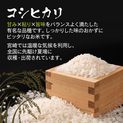 ふるさと納税 西都市 令和7年産 新米こしひかり10kg(5kg×2)『この華米』[2879] |  | 01