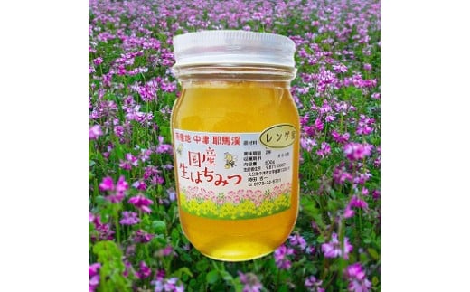 中津・耶馬渓のはちみつ れんげ 600g×1瓶 時田養蜂場 | 国産 蜂蜜 ハチミツ レンゲ 蓮華 大分県産 九州産 中津市