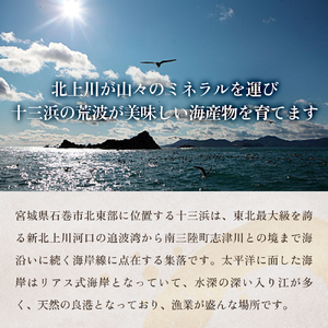 十三浜　浜だより（わかめ・こんぶ・海藻6種7品）