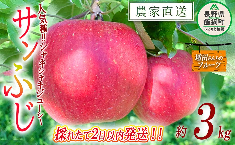 【 採れたてを発送 】りんご サンふじ 家庭用 3kg 採れたてを発送 増田ファーム 沖縄県への配送不可 2026年11月下旬頃から2026年12月上旬頃まで順次発送予定 令和8年度収穫分 信州 果物 フルーツ リンゴ 林檎 長野 予約 農家直送 長野県 飯綱町 [0572]
