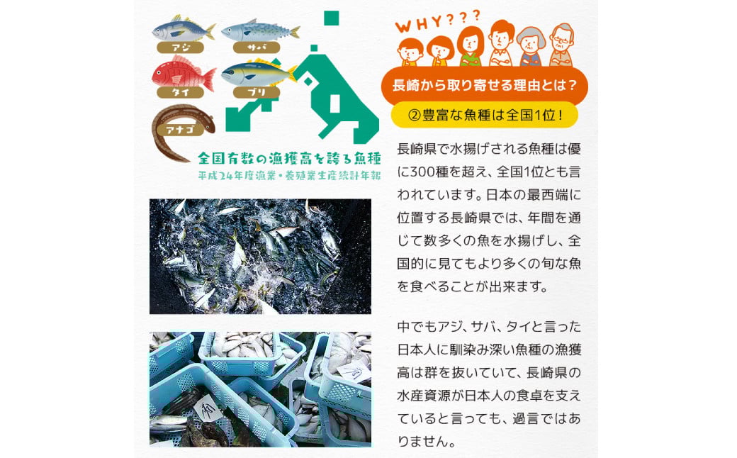 【全6回定期便】長崎加工 訳ありおまかせ干物 4種類(12枚) とカラスミ詰め合わせ ／ 干物 珍味 魚介 海鮮 魚 からすみ 詰め合わせ セット 冷凍 九州 長崎県 長崎市