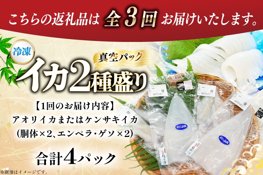 海鮮 魚介 イカ 2種盛り（胴体＋ エンペラ ・ ゲソ ） 3回 定期便 [舘浦漁協 長崎県 平戸市 hr42bgy420813] おつまみ 新鮮 刺身 下足 セット 盛り合わせ 瞬間冷凍 冷凍 コリコリ 直送 冷凍 個包装 真空パック