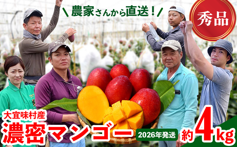 【2026年発送】濃密マンゴー《秀品・約4kg》大宜味村農家さんから直送 秀品 先行予約 沖縄 甘味 糖度 濃厚 おいしい お土産 まんごー アーウィン 果物 くだもの 果実 送料無料 ふるさと納税 ４キロ トロピカル 化粧箱入り 食べ物 フルーツ