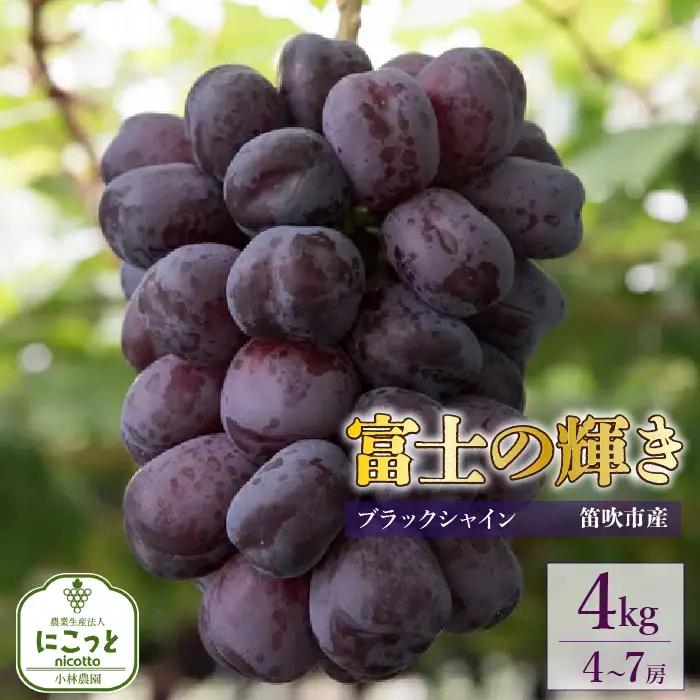 【2026年発送★先行予約】たっぷり4キロ　富士の輝き（4-7房）　 097-015-26y　 | ブラックシャインマスカット 発送 富士の輝き 富士の輝 笛吹市 山梨  フルーツ 果物 ぶどう 葡萄 シャインマスカット おすすめ 贈答 山梨県笛吹市  産地 期間限定 4kg 笛吹  国産 ぶどう 人気 新鮮 種なし | 株式会社にこっと