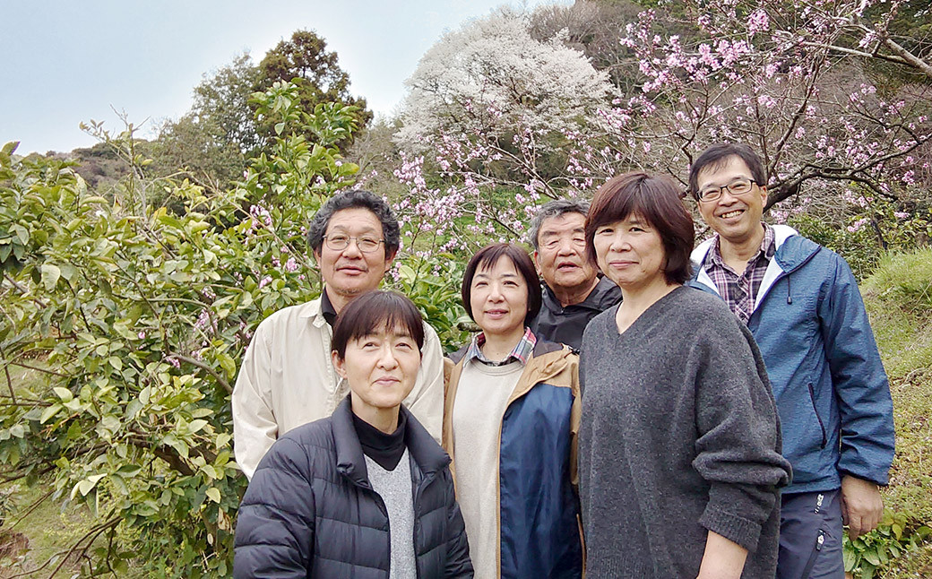 少量オススメ！木なり完熟不知火約2.5㎏