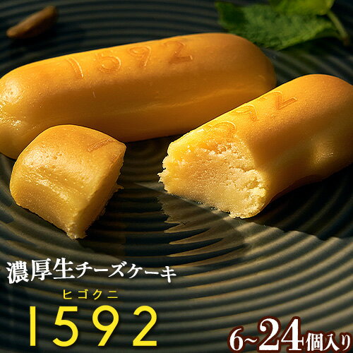 【ふるさと納税】 濃厚生チーズケーキ 1592 ヒゴクニ 選べる 内容量 6個 10個 16個 24個 古今堂 《30日以内に出荷予定(土日祝除く)》 熊本県 南阿蘇村 チーズケーキ チーズ ひごくに お菓子 スイーツ