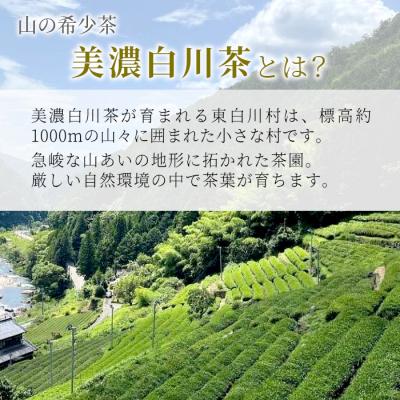 ふるさと納税 東白川村 香り高い高級煎茶 「天籟-てんらい-」 80g |  | 02