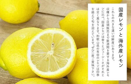 レモン 中玉 国産 箱込5kg(内容量約4.4kg) 秀品 L 2L 3L サイズミックス 和歌山県有田産 【みかんの会】