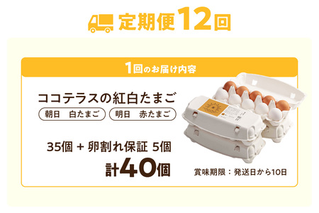 【12ヵ月定期便】ココテラスの紅白たまご　35個 + 5個保証（計40個）【JGAP認証】 農家直送 新鮮 卵 タマゴ 赤卵 白卵 玉子 鶏卵 朝食 夕食 夜食 朝ごはん たまご焼き だし巻き卵 オム