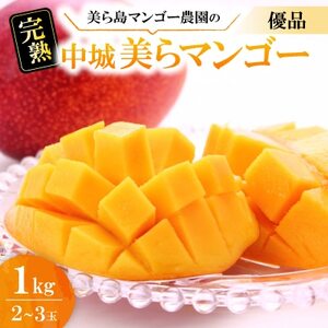 【2026年6月から順次発送・白箱】美ら島マンゴー農園の完熟中城美らマンゴー優品1kg(2～3玉)【配送不可地域：離島】【1672801】
