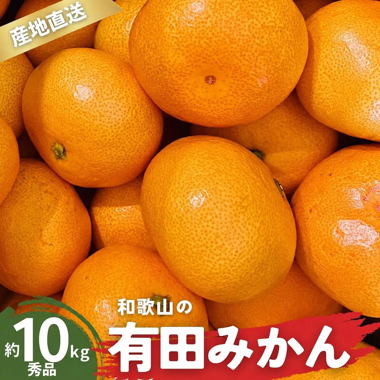 【1月発送】秀品 有田みかん 和歌山県産 S～Lサイズ 大きさお任せ 10kg / みかん フルーツ 果物 くだもの 有田みかん 蜜柑 柑橘【ktn003A-1】