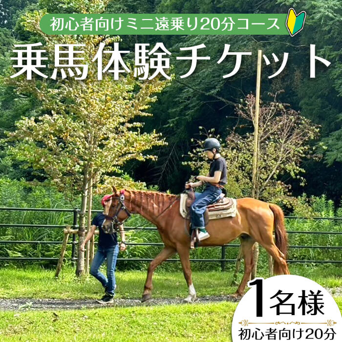 【ふるさと納税】【乗馬体験チケット】ミニ遠乗り20分～初心者向け、5歳以上～(1名様) 体験 体験チケット チケット 乗馬 乗馬体験 散歩 外乗り 乗馬散歩 20分 初心者 初心者向け 1名様 非日常 運動不足解消 リラックス【曽於市観光協会】