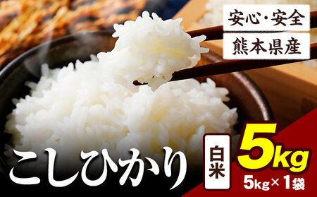 令和6年産 こしひかり 5kg 《7-14日以内に出荷予定(土日祝除く)》令和6年産 熊本県産 ふるさと納税 白米 精米 ひの 米 こめ ふるさとのうぜい コシヒカリ コメ お米 おこめ