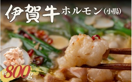 伊賀牛 ホルモン（小腸）約800g【cook0042】