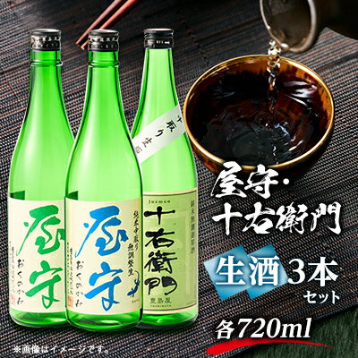 【ふるさと納税】「十右衛門」「屋守(純米吟醸生・純米無調整生)」生3本セット(720ml×3本)【配送不可地域：離島】【1295427】