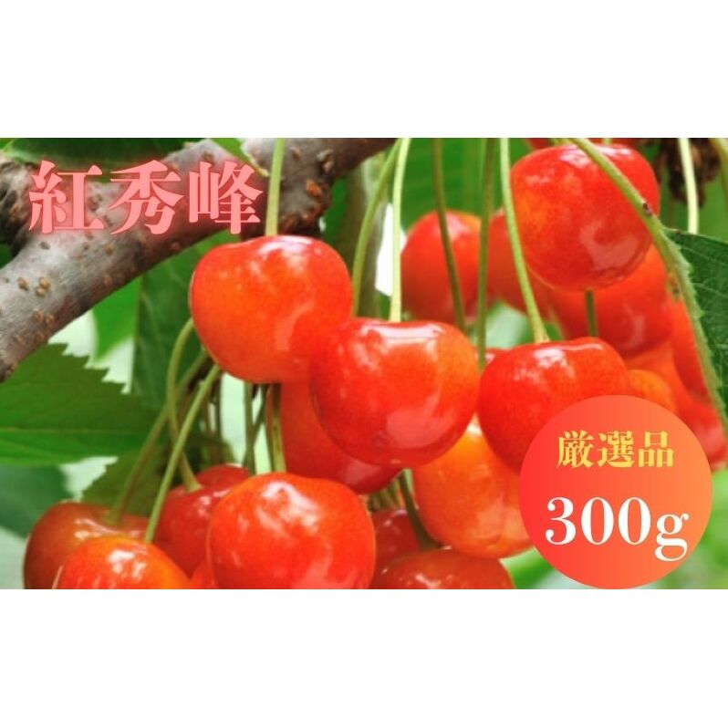 北海道 仁木町産 サクランボ 紅秀峰 300g 厳選品  松山商店