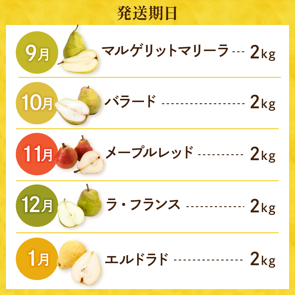 【令和7年産 先行予約 5回定期便】西洋梨食べ尽くし定期便 東根農産センター提供 hi027-201-2