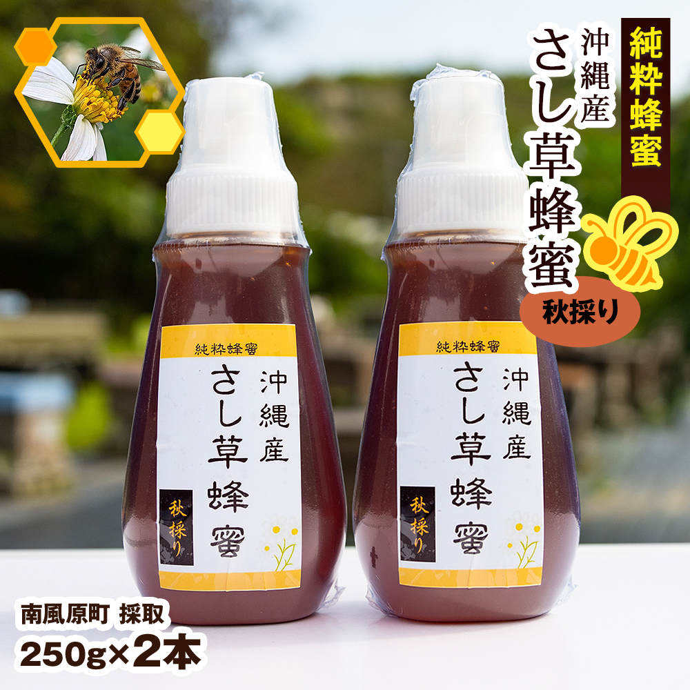 純粋蜂蜜　沖縄産　さし草蜂蜜　秋採り　250g×2本　南風原町採取_イメージ1