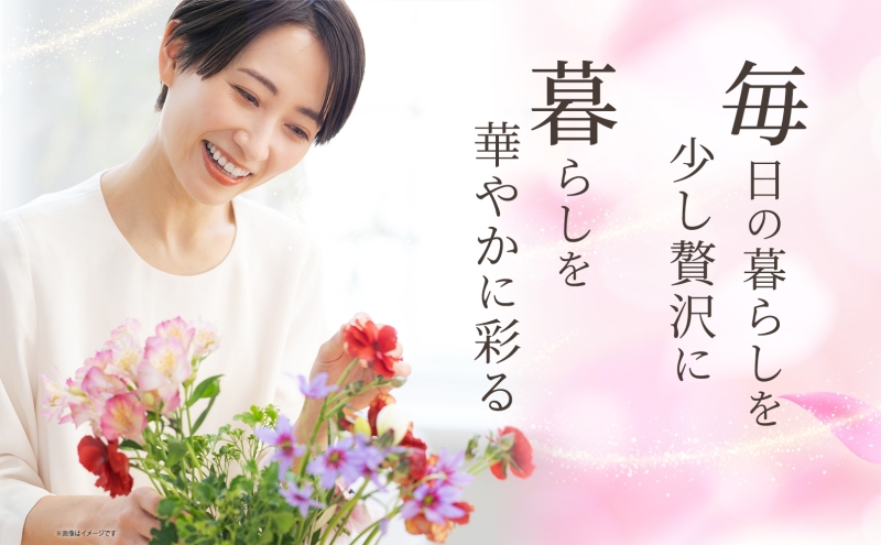 ［2025年10月お届け］生産者直送！旬の花詰め合わせ〔4品種20本以上保証〕