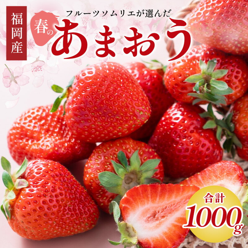 【ふるさと納税】フルーツソムリエが選んだ福岡産【春】あまおう4パック 福岡県産 いちご 苺 あまおう 約 1kg 旬 果物 フルーツ 福岡 中間市 期間限定 先行予約 2026 送料無料 お取り寄せ スイーツ ケーキ タルト ジャム パフェ シャーベット【011-0073】