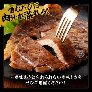 牛肉 宮崎牛 サーロイン ステーキ 400g