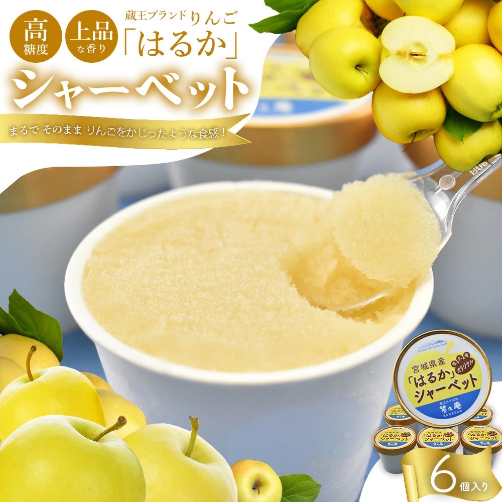 りんご「はるか」シャーベット　【04301-0202】