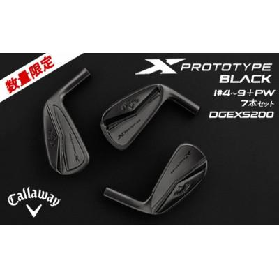 ふるさと納税 鹿沼市 X PROTO BLACK　DGEXS200 アイアン 7本セット ゴルフクラブ callaway