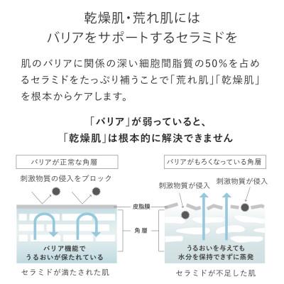 ふるさと納税 箕面市 トゥヴェール　セラミドミルク (乳液)　40g |  | 02
