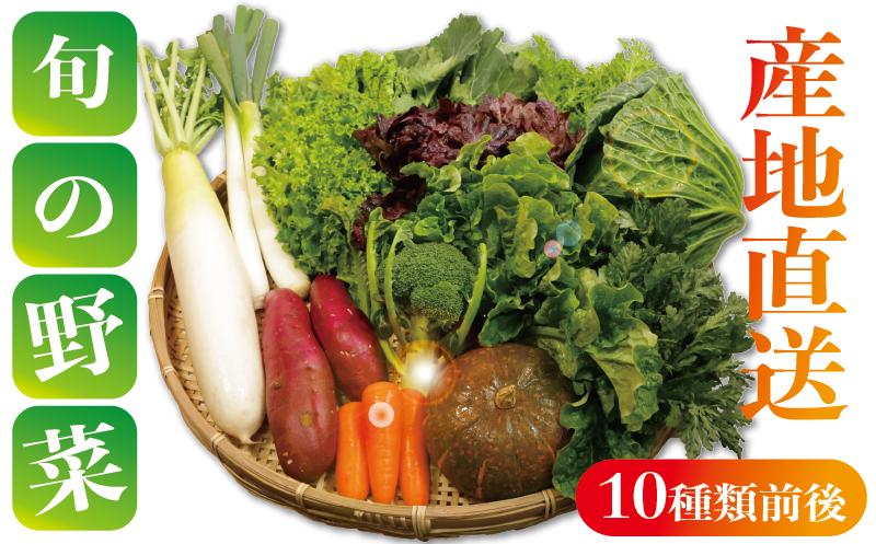 
                  野菜詰め合わせセット 8～10種類 季節の野菜 やさい トマト 大根 人参 にんじん サラダ 小松菜 かぶ ほうれん草 ブロッコリー ミニトマト 野菜 野菜セット 新鮮野菜 朝採れ 産地 産地直送 畑 農園 農家 旬な野菜 サツマイモ さつまいも 長ネギ ねぎ 玉ねぎ ブロッコリー 新鮮 国産 銚子産 健康 簡単 贈物 ギフト 贈答 送料無料 ふるさと納税 千葉県 銚子市 孝農園
                