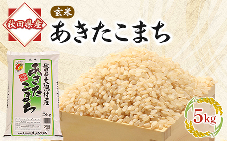 あきたこまち玄米5kg【配送不可地域：離島・沖縄県】【1595356】