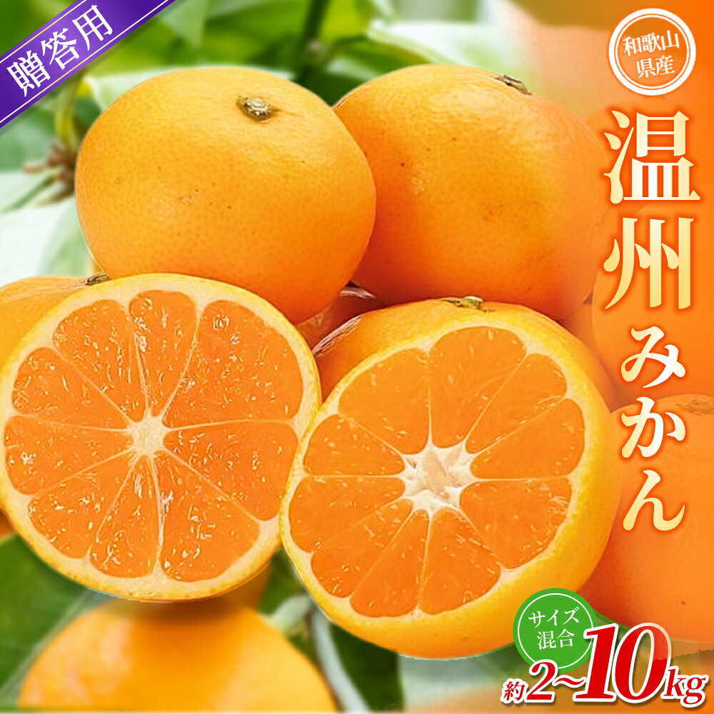 【ふるさと納税】【贈答用】 森本農園の手選別 みかん 約2～10kg 和歌山県産 2S~2Lサイズ混合 【北海道・沖縄・離島配送不可】【2026年10月中旬～2027年2月中旬ごろに順次発送】 みかん 蜜柑 フルーツ 果物 くだもの 食品 人気 おすすめ 送料無料