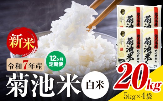 【12ヶ月定期便】熊本県産 菊池米 白米 20kg 1袋5kg 米 お米 令和7年産 九州産 熊本県産 送料無料《お申込み翌月に出荷予定》 白米 米