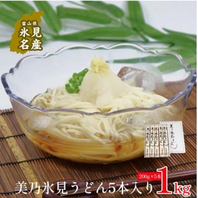 ふるさと納税 氷見市 美乃氷見うどん　5本入り(200g×5本)