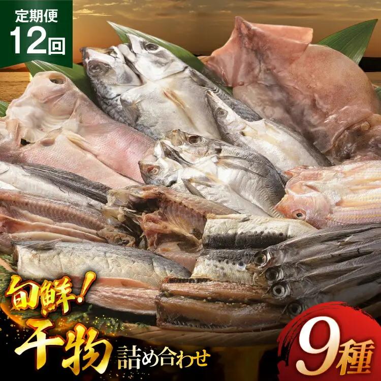 おつまみ イカ 旬魚 平戸 干物 9種 詰め合せ 定期便 12回