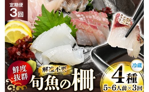 刺身 鮮魚 旬魚 の柵4種 セット （刺身3種＆ イカ 1種）（5～6人前） 3回 定期便 [舘浦漁業 長崎県 平戸市 hr42bgy420055] おつまみ 柵 冷蔵 新鮮 海鮮 盛り合わせ 旬 切るだけ 真空パック