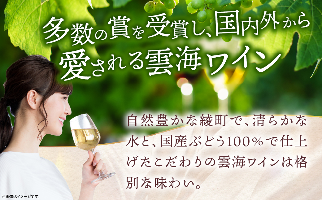 【雲海葡萄酒醸造所】赤・白・ロゼ ３種のワイン飲み比べセット_A0087-013