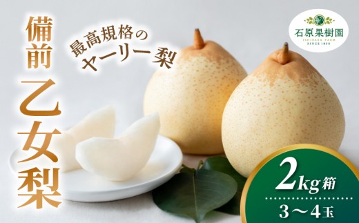 
                  備前乙女梨 ヤーリー梨 2kg箱 赤秀 3～4玉入り 岡山県産 | ヤーリー梨 鴨梨 梨 特選品 上級品 贈り物 御歳暮 果物 くだもの フルーツ 石原果樹園【ishk030-01】
                