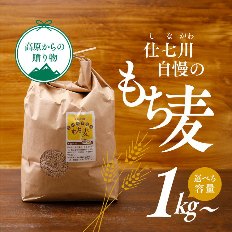 【ふるさと納税】【選べる容量】【先行予約】久万高原町 仕七川自慢 もち麦 1kg 2kg ｜ 雑穀 健康志向 腸活 食物繊維 ダイエット お取り寄せ 自然 愛媛県 仕七川地区の清流 ※2026年7月中旬頃より順次発送予定
