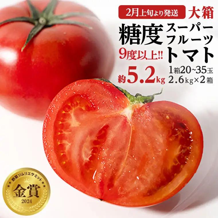 《 2027年 収穫分 》2～6月配送 スーパーフルーツトマト 大箱 約2.6kg × 2箱 (20～35玉/1箱) 糖度9度以上 先行予約 茨城県 桜川市 KEK 国産 トマト フルーツトマト ブランドトマト 野菜 ギフト 贈答 青空レストラン アド街ック天国 グッドモーニング 黄金のワンスプーン 昼めし旅 [BC009sa]