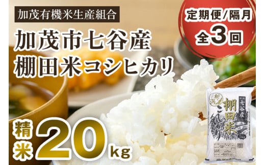 【令和7年産新米先行予約】【定期便3回隔月お届け】七谷産 棚田米 コシヒカリ 精米 20kg（5kg×4）《10月中旬から順次出荷》白米 加茂有機米生産組合 新潟県 加茂市産 白米 米 お米 定期便