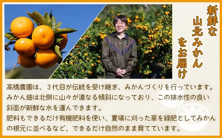 【2026年11月中旬より順次配送】山北みかん 約5kg 甘い みかん th-0029