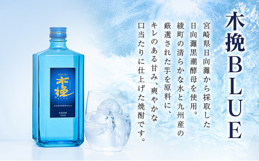【3か月定期便】雲海酒造 宮崎限定 木挽BLUE ハイボール へべす 350ml×24本（木挽ブルー）_A0087-025