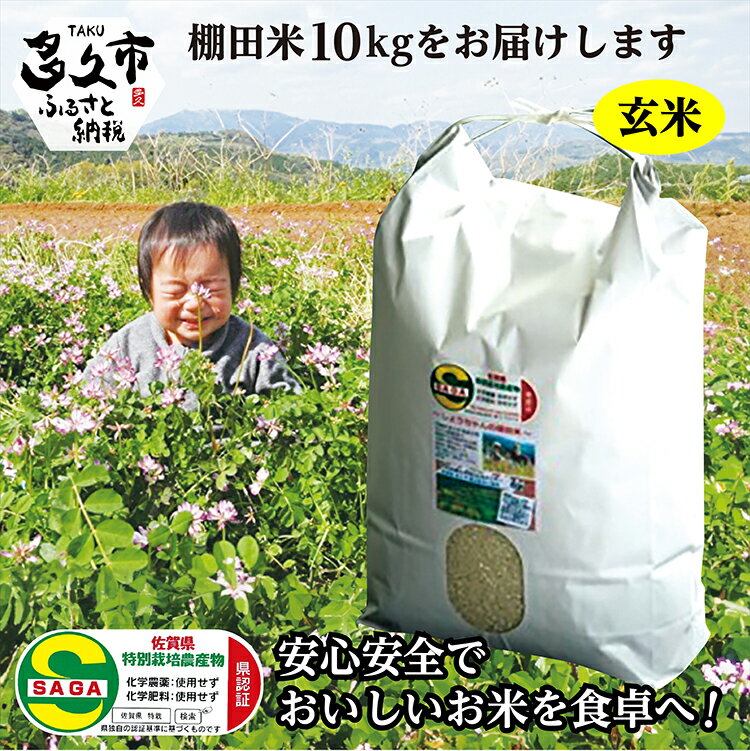 【ふるさと納税】【 令和7年産 新米 予約 】 玄米 10kg 夢しずく 農薬・化学肥料不使用「 しょうちゃんの 棚田米 」 10kg モチモチ食感と優しい甘み 特A 受賞 化学肥料不使用 オーガニック 棚田 米 コメ お米 おこめ 10キロ 10 c-43