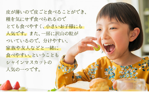 【期間限定】鏡野町産 シャインマスカット 2kg（2〜4房）